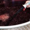 Mano che maneggia un tubo di vino rosso durante la produzione in una cantina.