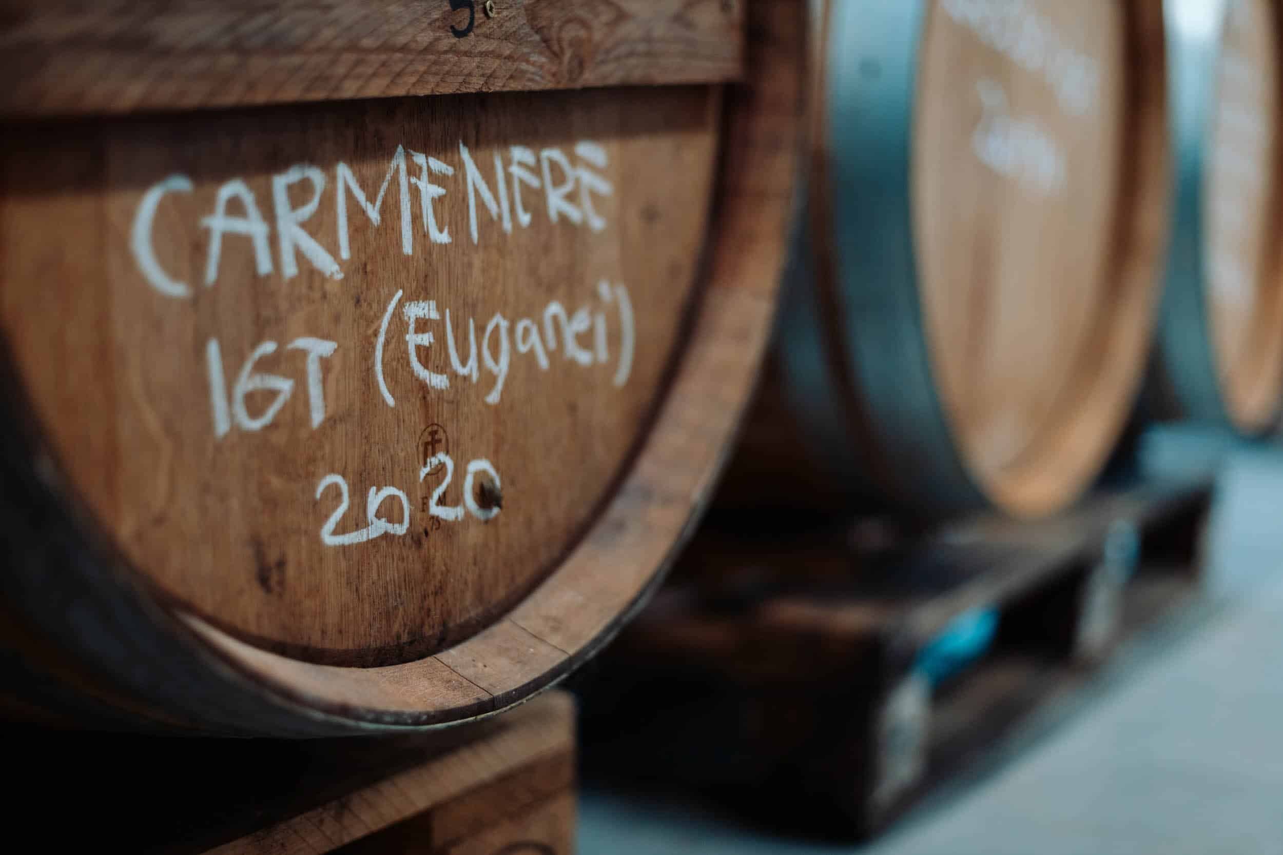 Botte di vino rosso Carmenere IGT 2020 dei Colli Euganei in cantina su pallet di legno.