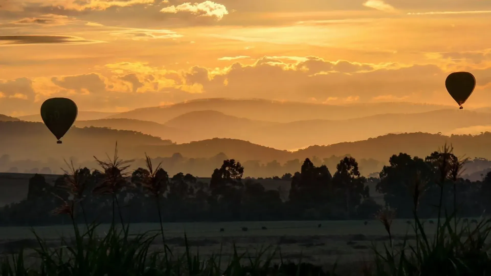 Tramonto dorato con mongolfiere che volano sopra le colline nebbiose e le sagome degli alberi in primo piano.